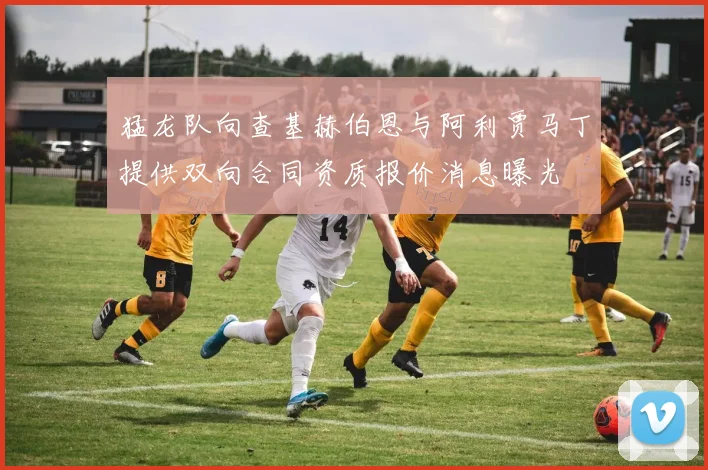 猛龙队向查基赫伯恩与阿利贾马丁提供双向合同资质报价消息曝光