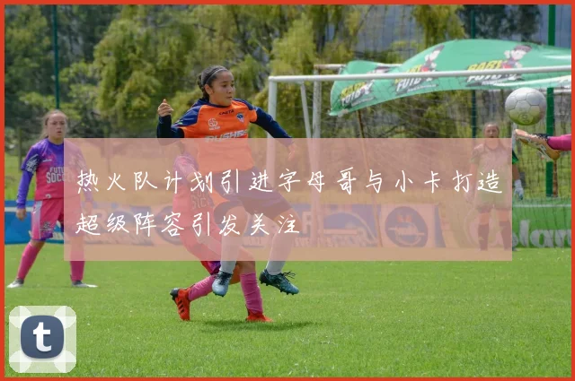 热火队计划引进字母哥与小卡打造超级阵容引发关注