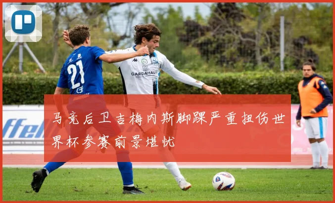 马竞后卫吉梅内斯脚踝严重扭伤世界杯参赛前景堪忧