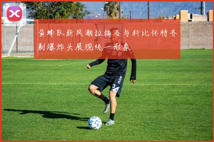 黄蜂队新风潮拉梅洛与科比怀特齐剃爆炸头展现统一形象